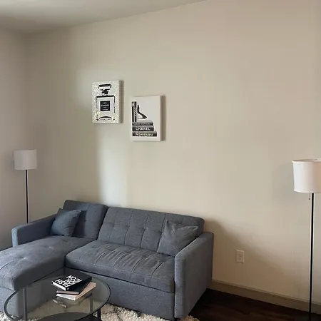 Fancy Apt Downtown Pool Gym Lounge Pet Ok Houston Exterior photo